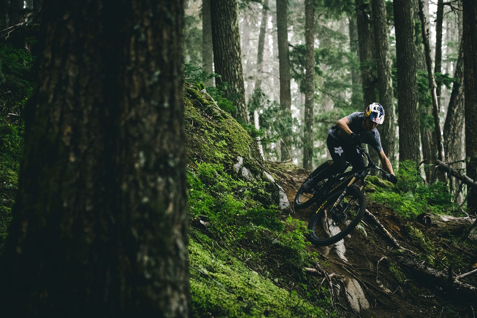 Santa Cruz Vala C MX 90