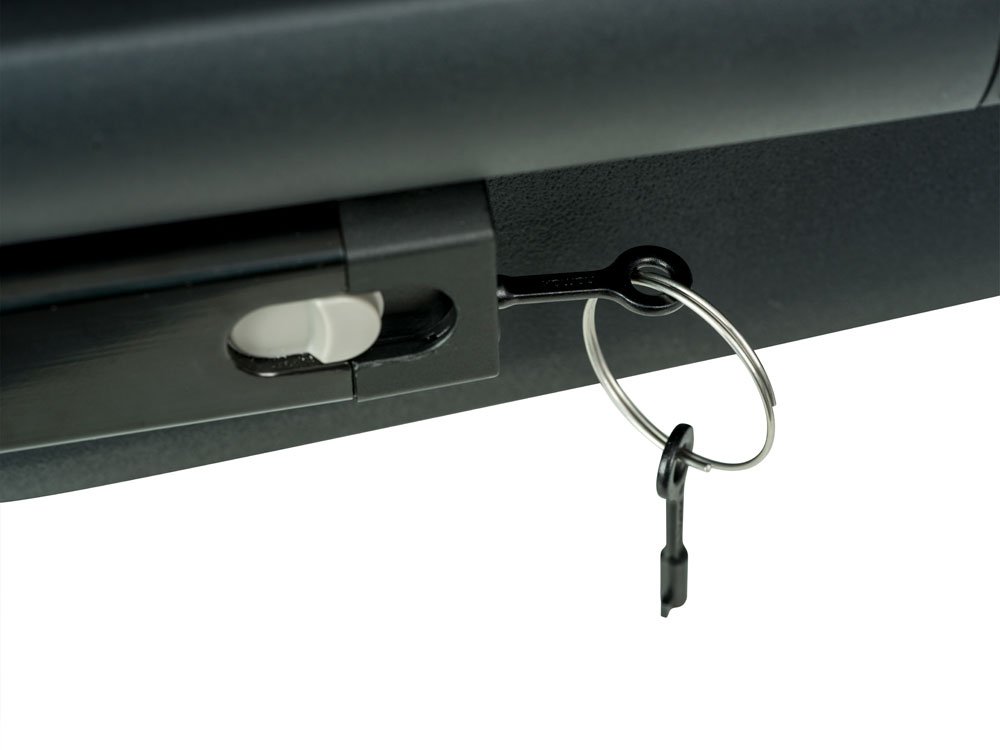 Hamax Pluto L - rimorchio per cani