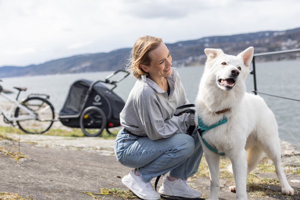 Hamax Pluto L - rimorchio per cani